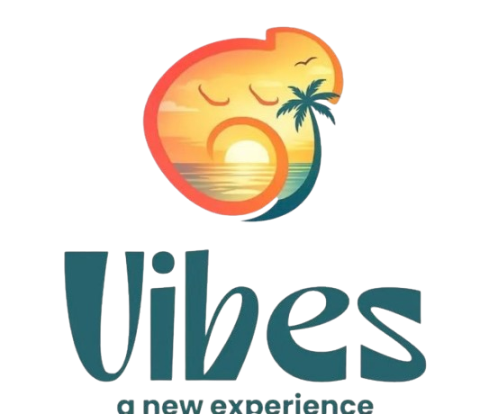 Vibes — a new experience